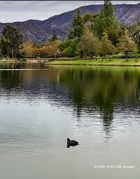Santa margarita lake is a nature lover's retreat. Rancho Santa Margarita Lake Still Life On A Fall Morning Rancho Santa Margarita Ca Patch