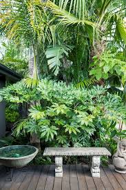 A Tropical Garden In The Heart Of Melbourne Tropical Garden Design Tropical Landscaping Small Tropical Gardens