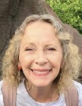 Carol Lynn Salamon Obituary (2022)