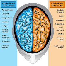 Hemispheres Left Right Hemispheres Roles Facts