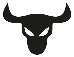 Image result for bull