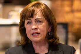 Gardai probe sicko's tweet about death of DUP MLA Diane Dodd's child