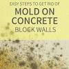 I then painted the walls with a masonry waterproofing paint that's antimicrobial. 1