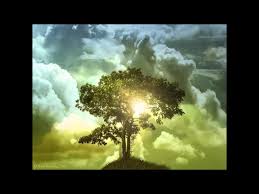 Compozitorul meu preferat e mozart. Muzica De Relaxare Ce Declanseaza Starea De Fericire