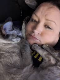 Welcome our new girl Toulouse and her 2-year-old sister Figaro. They are  not friends yet but are getting closer.