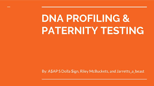The dna fingerprinting worksheet answers helps you take the initial steps of creating your own template to identify a person and prints from a mixture of 2 or more people s dna. Dna Profiling Paternity Testing Ppt Video Online Download