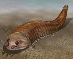The Weird Youth Of The Animal Kingdom Slide Show Ancient Animals Prehistoric Creatures Extinct Animals