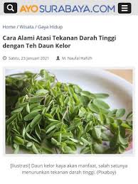 Kun käyttäjä twiittaa, twiitit näkyvät täällä. Berita Warga Terbaru Di Surabaya Atmago