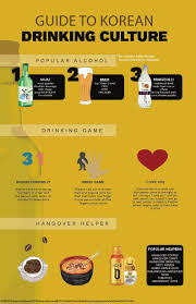 Pin By Lily Hwang On Avt 311 Project 3 Infographic Korean Language Learn Korean Living In Korea
