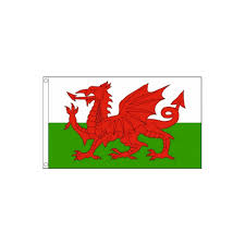 It comprised a small red dragon. Welsh Flag 5ft X 3ft Printed Flag Discount Displays