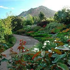Favorite Botanical Gardens Botanical Gardens Travel Salt Lake City Festivals Around The World