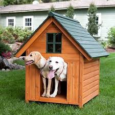 Extra Large Outdoor Dog House Dog Kennel Outdoor Dog House Large Dog House Cool Dog Houses