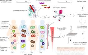 In Vivo Clonal Expansion And Phenotypes Of Hypocretin