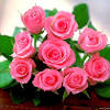 Download and use 60,000+ rose flower stock photos for free. 1