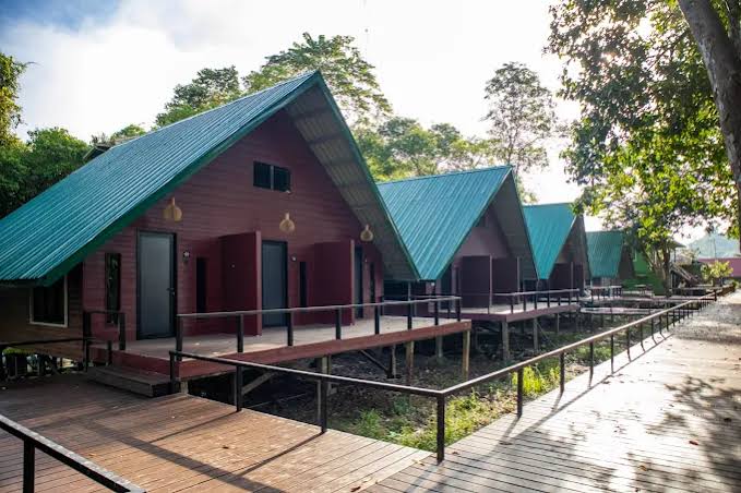 Where to Stay Kinabatangan River Borneo: My Top Areas and Lodges in 2026 -  Girl on a Zebra