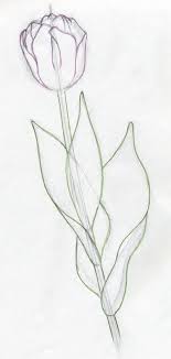 Tulip Flowers14 Jpg 400 840 Flower Drawing Tulip Painting Floral Watercolor