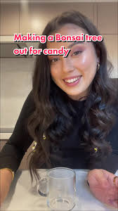 How to Make A Bush with Candys