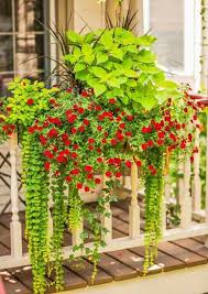 I have only seen brackets which connect to larger wooden railings. 19 Railing Planter Ideas For Making Small Balcony Gardens