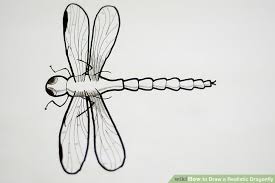 Check spelling or type a new query. 20 Fantastic Ideas Drawing Dragonfly Wing Armelle Jewellery