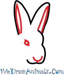 These hares do not hibernate, but survive the dangerous cold with a number of behavioral and physiological adaptations. How To Draw An Arctic Hare