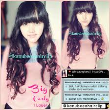 Hasil gambar untuk hairclip warna