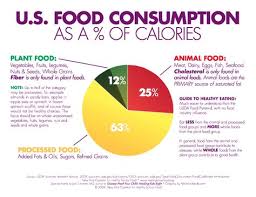 9 charts that show the standard american diet precision