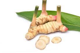Jahe, temulawak, lengkuas dan kunyit berkembang biak dengan menggunakan rimpang (rhizoma) atau yang disebut juga akar tinggal. Jangan Salah Ini Beda Jahe Kunyit Laos Dan Kencur Halaman All Kompas Com