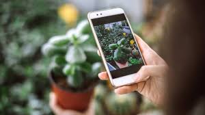 Se siete tra coloro che alla vista di un fiore o di una pianta si domandano quale sarà il suo nome?, sappiate che da oggi la tecnologia viene in vostro aiuto. Le App Per Riconoscere E Curare Le Piante Tech Quotidiano Net