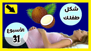 الشهر الخامس من الحمل والجماع عالم حواء : Ø§Ù„Ø´Ù‡Ø± Ø§Ù„Ø®Ø§Ù…Ø³ Ù…Ù† Ø§Ù„Ø­Ù…Ù„ ÙˆØ§Ù„Ø¬Ù…Ø§Ø¹ Ø¹Ø§Ù„Ù… Ø­ÙˆØ§Ø¡ ÙÙˆØ§Ø¦Ø¯ ÙÙŠØªØ§Ù…ÙŠÙ† Pregnacare Ù„Ù„Ø­Ø§Ù…Ù„ Fitamin Blog Naik Turun