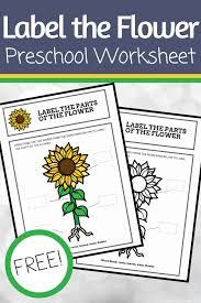 Match the words with the pictures of flowers, learn the meaning of flowers, arrange the words in l. Free Printable Parts Of A Flower Preschool Worksheet