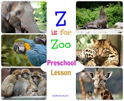 Z Is For Zoo Preschool Craft October 2020 Ducks N A Row Zoo Preschool Zoo Lessons Preschool