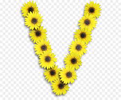 1 x alphabet stencil 30mm no. Gemeinsame Sonnenblume Buchstaben Alphabet V Clipart Png Herunterladen 623 730 Kostenlos Transparent Gelb Png Herunterladen