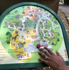 Mobile petting zoo gives your kids a fun and educational experience for any event where you want to entertain and excite children. Visual Accessibility At Zoo Atlanta Nandita Gupta