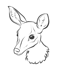 They are known for their innocent and peaceful demeanor. Deer Head Coloring Page