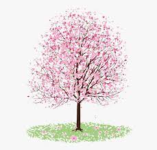 Check spelling or type a new query. Pink Chinese Tree Drawing Hd Png Download Transparent Png Image Pngitem