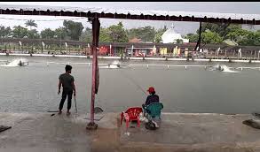 21 Spot Mancing Kolam Di Bandar Lampung Paling Terkenal Wlampung