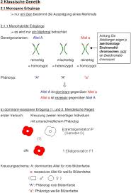 Gg gg gg gg mischerbig pt alle nachkommen gelb => hybride (= bastarde) reziprozitätsgesetz: Genetik 0 Ubersicht 0 1 Grundbegriffe 0 2 Ubersichtstabelle 1 Zellgenetik 1 1 Chromosomen Als Trager Der Genetischen Information Pdf Kostenfreier Download