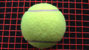 Notre Dame runner-up at state meet