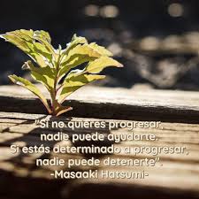Samia My On Twitter Si Estas Determinado A Progresar Nadie Puede Detenerte Frases Frasedeldia