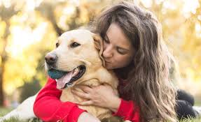 If it is important to you that your cat is cremated individually then do ask about the process at the veterinary practice's preferred cremation service. Lost Pet 15 Ideas Of What To Do With Your Pet S Ashes