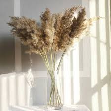 White pampas grass, everlasting flowers, dried flower bouquet, beach theme wedding arch flower, wildflower bouquet, cortaderia selloana. 10pcs Artificial Pampas Grass Natural Dried Flower Wedding Decor Home Decoration Ebay