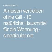 Ameisen Vertreiben Ohne Gift 10 Naturliche Hausmittel Fur Die Wohnung Ameisen Vertreiben Hausmittel Naturliche Hausmittel