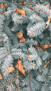 The Perfect Set Of Wallpapers For Your New Iphone Xr Wallpaper Iphone Christmas Cute Christmas Wallpaper Winter Wallpaper Cute christmas iphone s wallpaper. iphone xr wallpaper iphone christmas