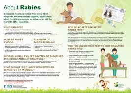 Most dog bites can be prevented if: Rabies