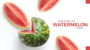 Can a watermelon go bad? How To Tell If A Watermelon Is Bad Recipe Marker