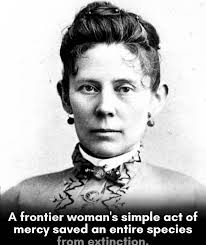 Melinda “Linnie” Bell Jones 1869-1956 St Michael Cemetery Melinda “Linnie”  Bell Jones was born in Cheyenne WY. She married Bernard McCrossan in 1886  and moved to Sioux Falls in 1887, built the