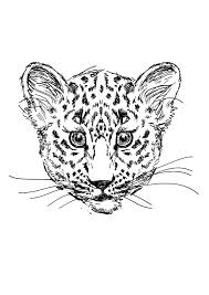 Leopard coloring pages allow young naturalists to observe the grace, grace of a representative of the cat family. Parentune Free Printable Leopard Coloring Pages Leopard Coloring Pictures For Preschoolers Kids