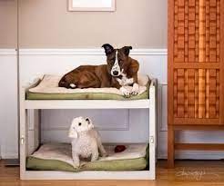 If you're looking for large dog beds, though, you've come to the right place. Diy Dog Bunk Beds 8 Steps With Pictures Instructables