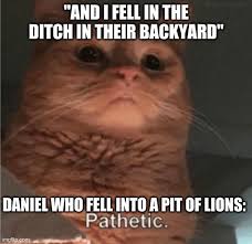 Just stop this pathetic meme. Pathetic Cat Memes Gifs Imgflip