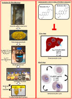 Image result for Annickia